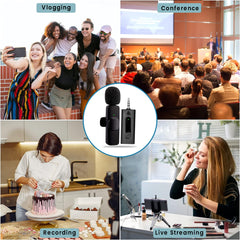 Arizone® Wireless Microphone, Dual Portable Handheld Dynamic Karaoke Mic with Rechargeable Receiver, Cordless Karaoke System for PA System, Speaker, Amplifier, Family Party, Singing, Meeting